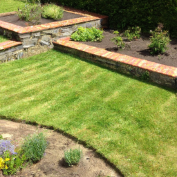 Gazon de Jardin : découvrez les différentes variétés de gazon pour choisir celle qui convient le mieux à votre jardin Issy-les-Moulineaux